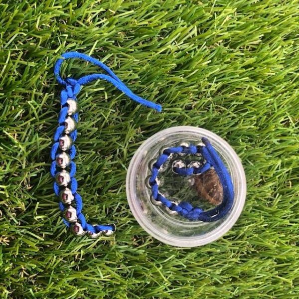 Kaiko Caterpillar Hand and Finger Fidget - Royal Blue
