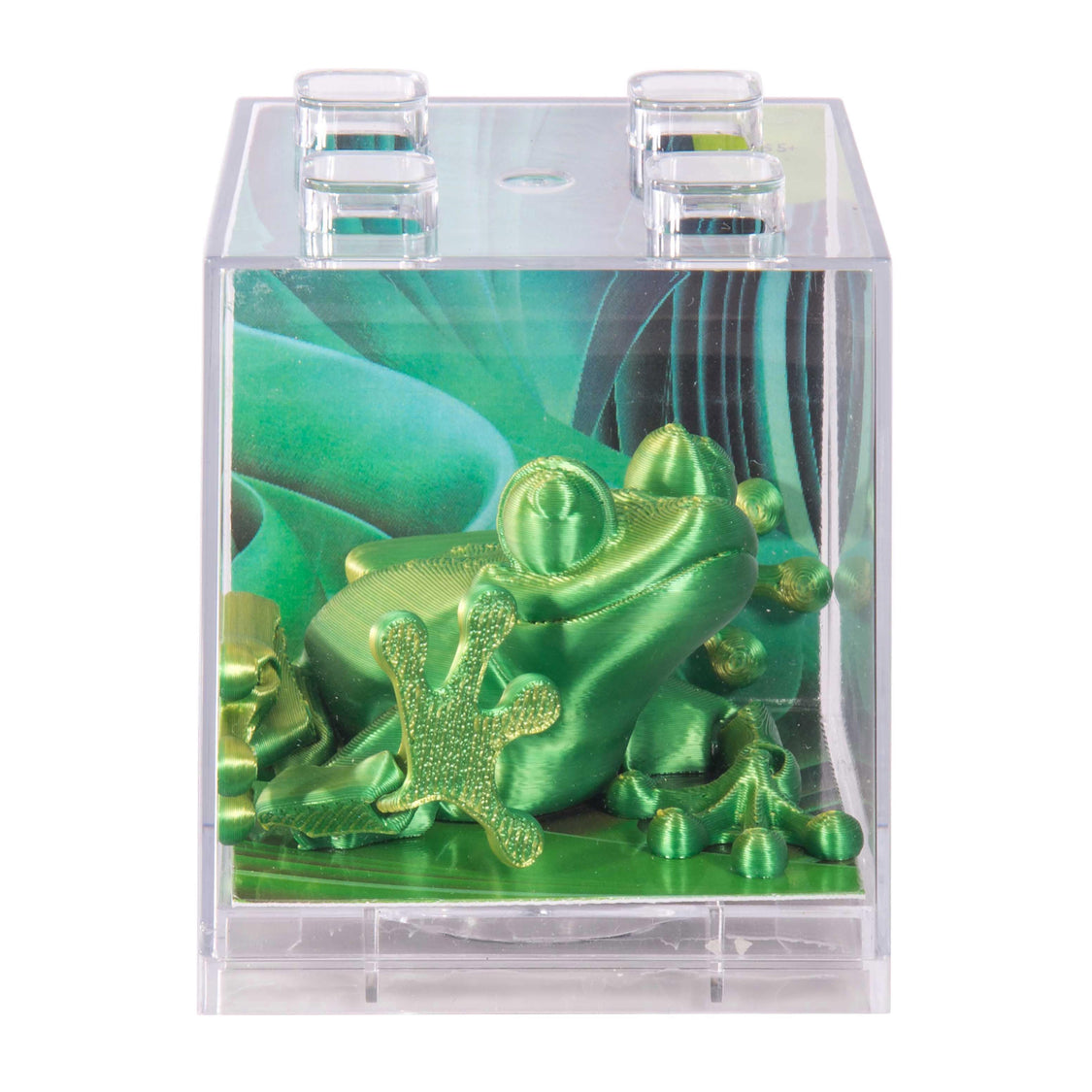 3D Sensory Frog - Image 5