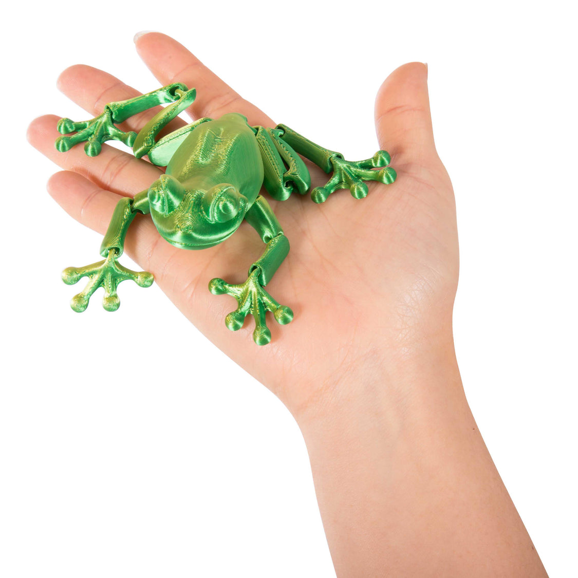 3D Sensory Frog - Image 2