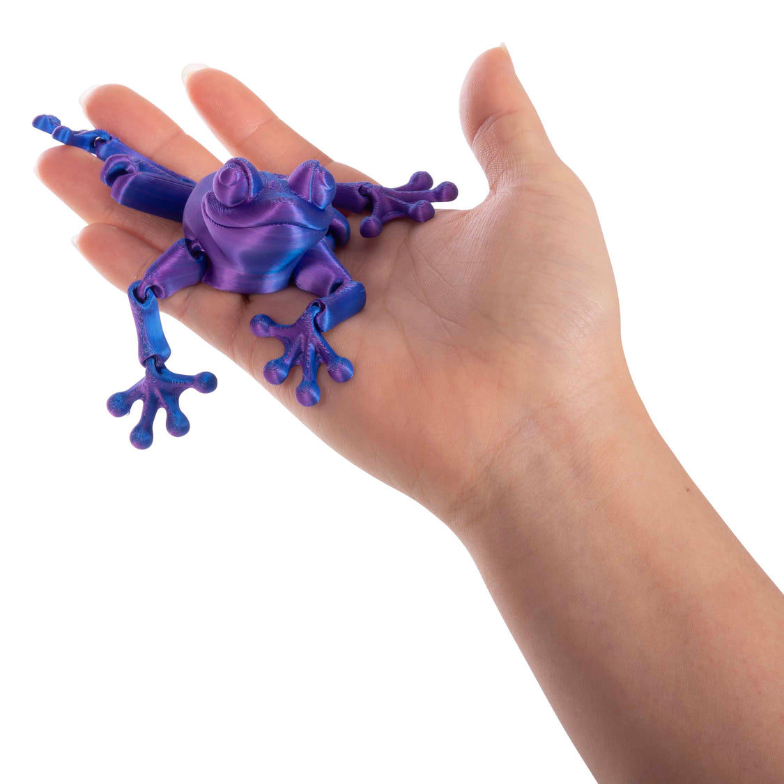 3D Sensory Frog - Image 3