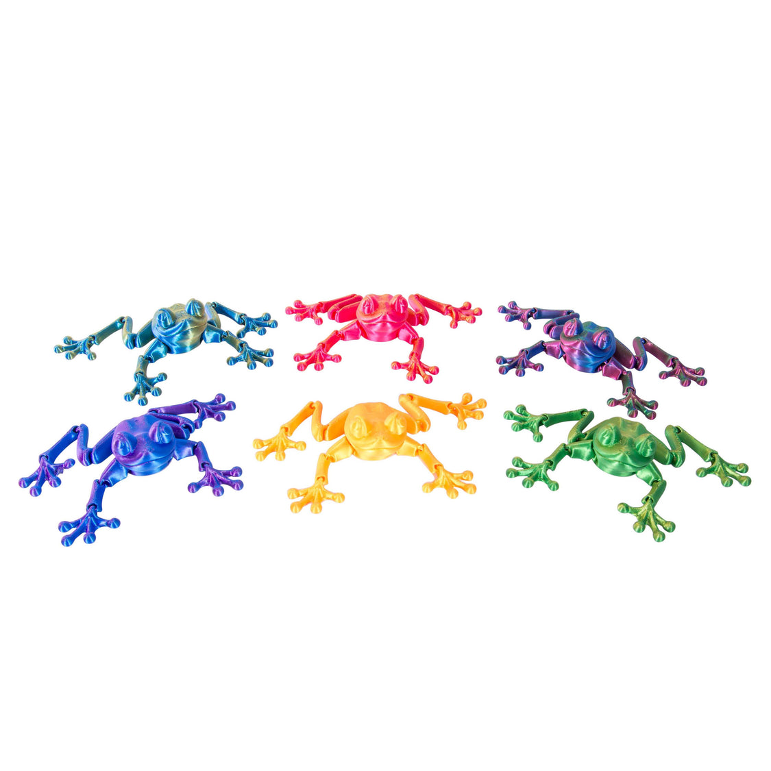 3D Sensory Frog - Image 6